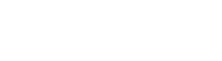 Partner - Beyond Insurance Global Network White Small